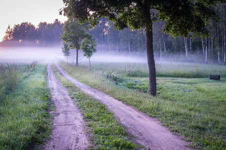 Foggy sunset in Latvian countrysideの写真素材