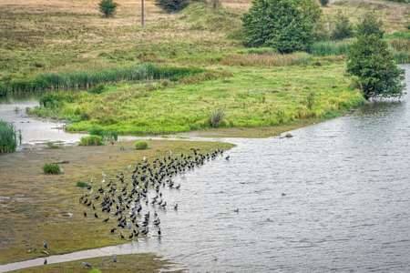 Beautiful River Olt in the Cozia National Park in Romaniaの写真素材