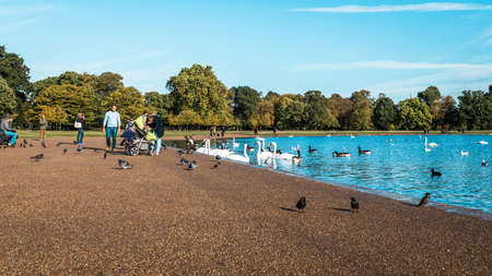 London, United Kingdom - October 17, 2016: People are visiting Kensington Gardens outside of Kensington Palace in London, Englandのeditorial素材