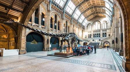 London, United Kingdom - October 19, 2016: Tourists are visiting Natural history museum in London, England.のeditorial素材