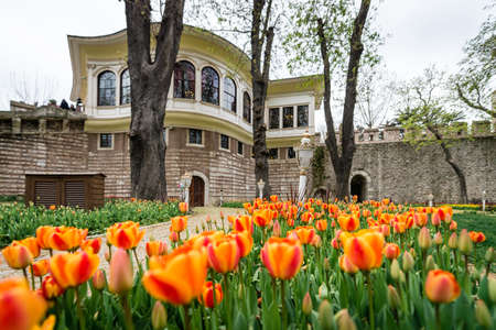Istanbul, Turkey - April 12, 2017: Ahmet Hamdi Tanpinar Literature Museum Library in Gulhane park, Istanbulのeditorial素材
