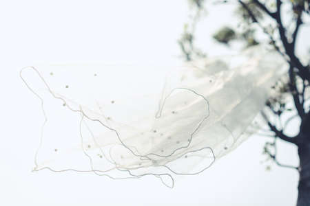 Wedding details. White bridal veil in the treeの写真素材
