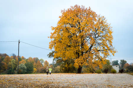 Koknese, Latvia- October 10, 2018: Two ladies having a walk in the nature. Maple tree in Latvian countryside.のeditorial素材