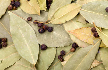 Background of bay leaves and black peppercornsの写真素材