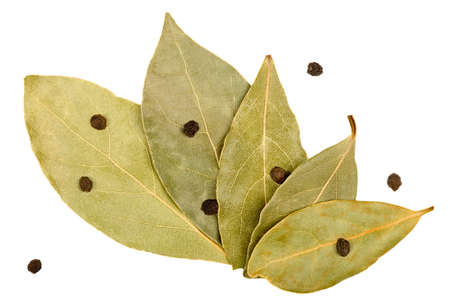 Bay leaves and black peppercorns isolated on white backgroundの写真素材