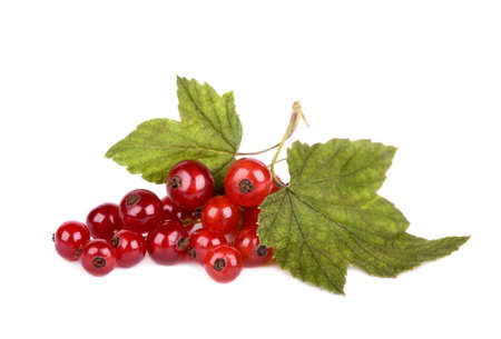 Red currant with green leaves isolated on white backgroundの写真素材