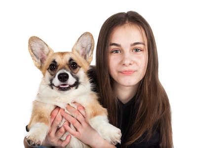 Caucasian brown haired teenage girl with corgi dog puppy on white backgroundの写真素材