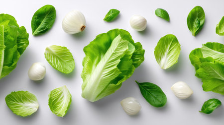 A stunning display of fresh green leaves and white onions artfully arranged on a smooth white background, perfect for promoting healthy eating and vibrant cuisines.の素材