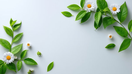 A beautiful arrangement of fresh green leaves and white daisy flowers on a light background, perfect for designs emphasizing nature, beauty, and tranquility.の素材