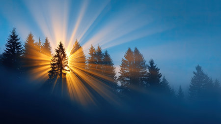 A stunning sunrise illuminates a tranquil forest with vibrant rays of light piercing through mist, creating a breathtaking ambiance of peace and serenity in nature.の素材