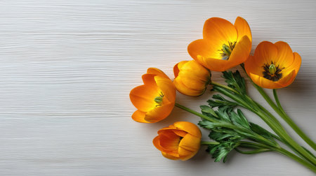 A stunning close-up of vibrant orange flowers with lush green leaves on a soft textured background, ideal for spring-themed designs and floral arrangements.の素材