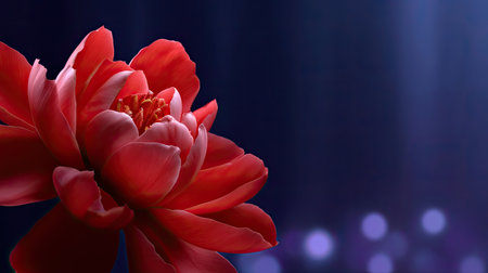 This image showcases a beautiful red flower with intricate petals, set against a dark blue background enhanced by soft lighting and vibrant bokeh effects.の素材