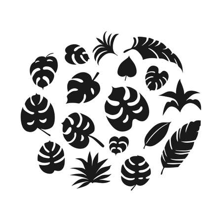 Set of hand-drawn tropical leaves cliparts on white backgroundのイラスト素材