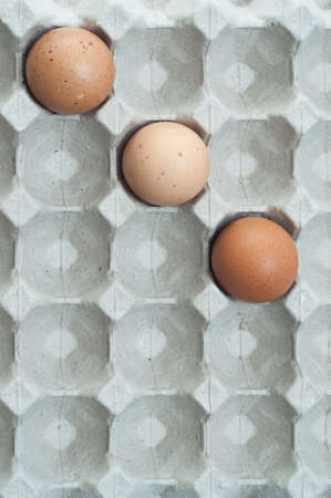 focused front row egg with blurry or bokeh white background.の写真素材