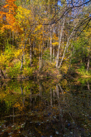 autumn in the parkの写真素材