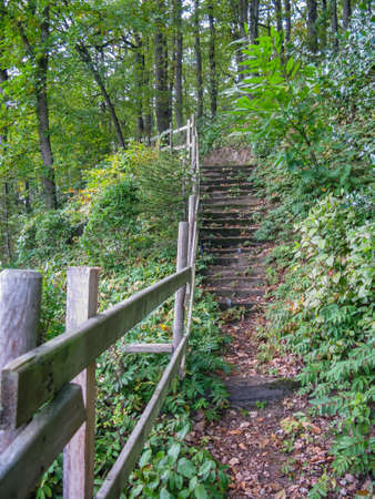 footpath and bench in the autumn park in the Loire, Franceの写真素材
