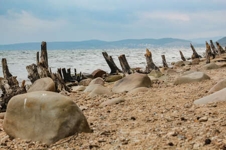 wreckage of trees thrown on the shore of Lake Turgoyak in the Chelyabinsk regionの写真素材