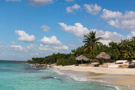 beach with reed umbrellas on island in the Dominican Republicの写真素材