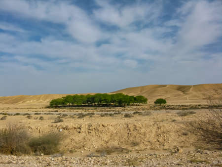 view of the red desert in israelの写真素材