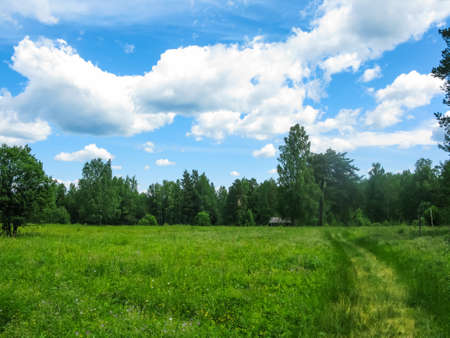 summer field and forest in the natural park Olenyi brooks in the Sverdlovsk regionの写真素材