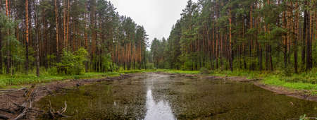 panoramic view of a small lake in the forest near the talc stone quarry in the sverdlovsk regionの写真素材