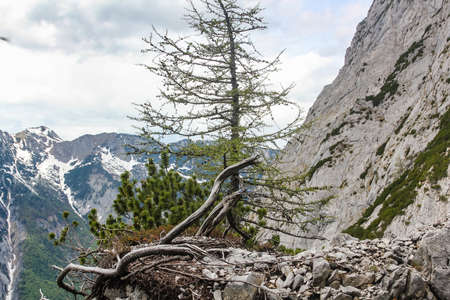 Aerial view of the Werfen village in Austria famous for Hohenwerfen castle and Eisriesenwelt ice cave.の写真素材