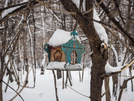 bird feeder on a tree under newly fallen snow in Novosibirsk, Russiaの写真素材
