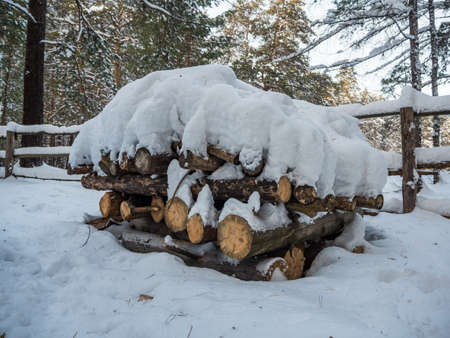 woodpile stacked of firewood under the snow, Novosibirsk, Russiaの写真素材