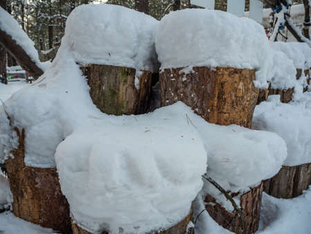woodpile stacked of firewood under the snow, Novosibirsk, Russiaの写真素材