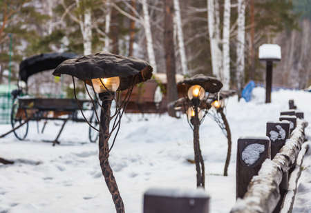 lights fungi near the bridge in Belokurikha, Altai, Russiaの写真素材