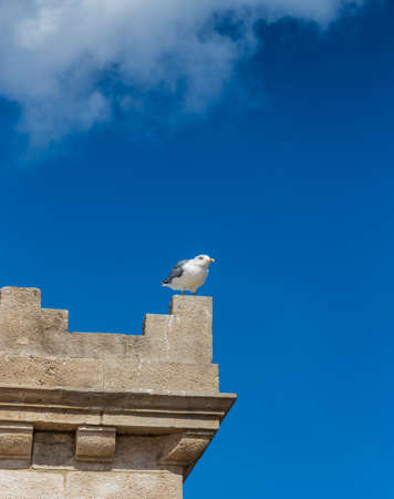 A seagull sits on the edge of the tower against the sky in Barcelona, Spainの写真素材