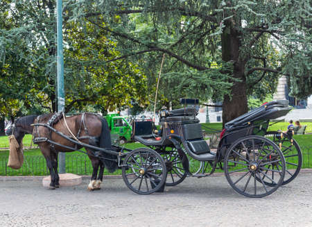 Horse-drawn carriage awaits tourists for a walk in Verona, Italyの写真素材