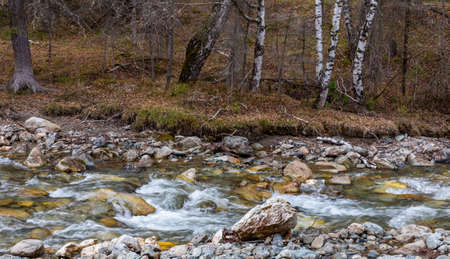 Small mountain river Small Yaloman in Altaiの写真素材