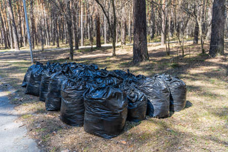 Fighting rubbish is a worldwide problem. Where to put these garbage bags now?の写真素材