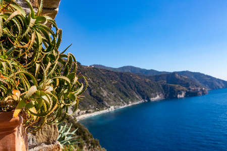 Cinque Terre coast and small towns with vibrant colorful houses in La Spezia, Italy.の写真素材