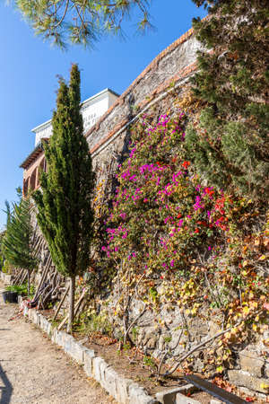 Cinque Terre coast and small towns with vibrant colorful houses in La Spezia, Italy.の写真素材