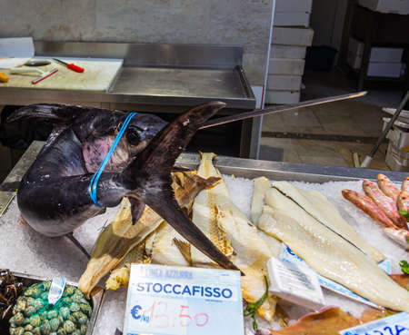 Swordfish on a counter in a store in the city of Savonaの写真素材
