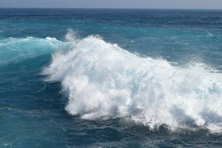 The Uncalm Wavesのeditorial素材