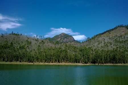 The beauty of nature