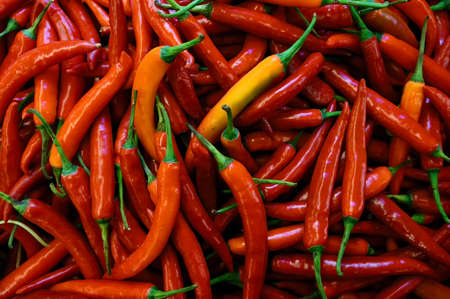 Red hot Chiliの写真素材