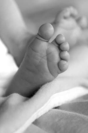 Newborn baby feet black and whiteの写真素材