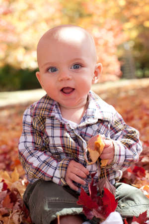 Adorable blue eyed blond baby playing in fall leavesの写真素材