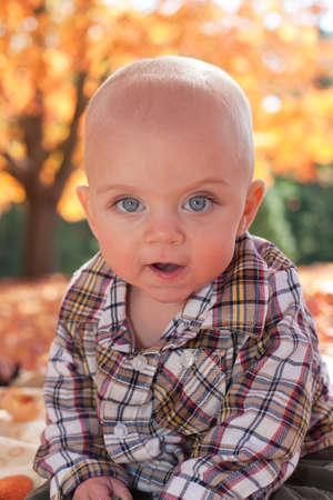 Adorable blue eyed blond baby playing in fall leavesの写真素材