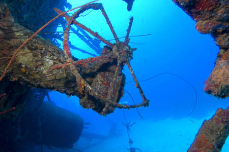 Underwater Caribbean shipwreck wheelの写真素材