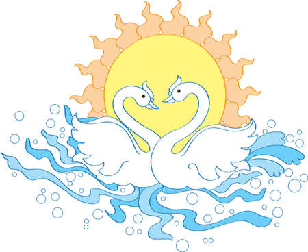 Bird Pair Romancing In Water Vector Artのイラスト素材