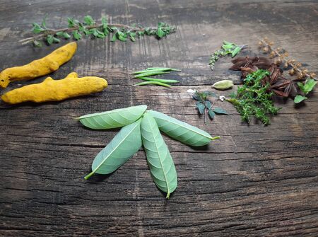 Alternative Medicine herbs for herbal medicine for healthy recipe fresh and dry herbs with mortar on Tree wooden background stock images photosの写真素材