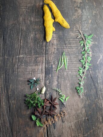 Alternative Medicine herbs for herbal medicine for healthy recipe fresh and dry herbs with mortar on Tree wooden background horizontal stock photosの写真素材