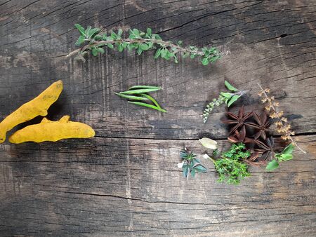 Alternative Medicine herbs for herbal medicine for healthy recipe fresh and dry herbs with mortar on Tree wooden background stockの写真素材