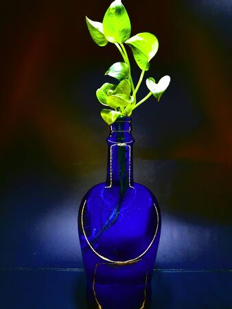 colorful background with blue bottle in plantの写真素材