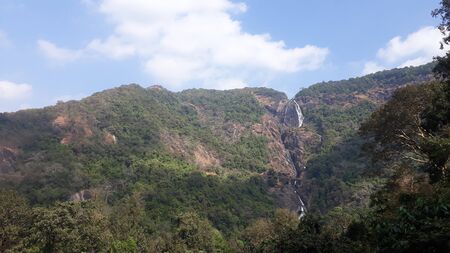 forest on the mountain ranges of Himalayas between the villages Chopta and Ukhimath, Uttarakhand, Indiaの写真素材